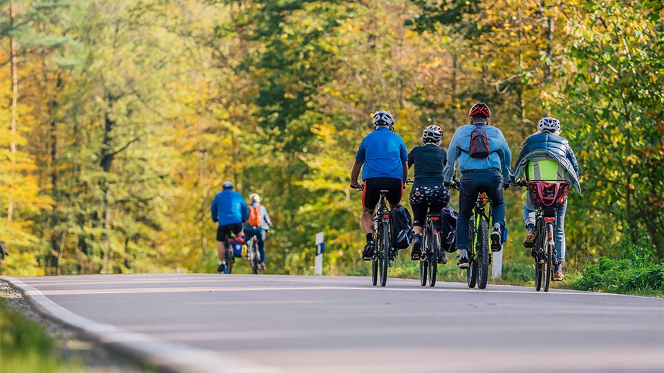 Mehrere Fahrradfahrer sind von hinten zu sehen. Sie fahren in einer Gruppe über eine Landstraße, die von Bäumen umsäumt ist. 