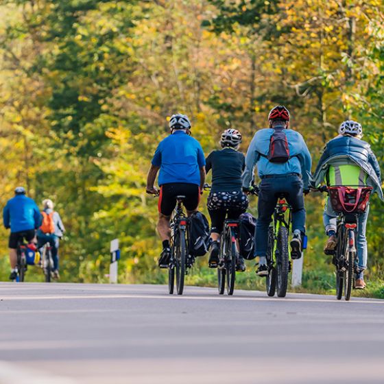 Mehrere Fahrradfahrer sind von hinten zu sehen. Sie fahren in einer Gruppe über eine Landstraße, die von Bäumen umsäumt ist. 
