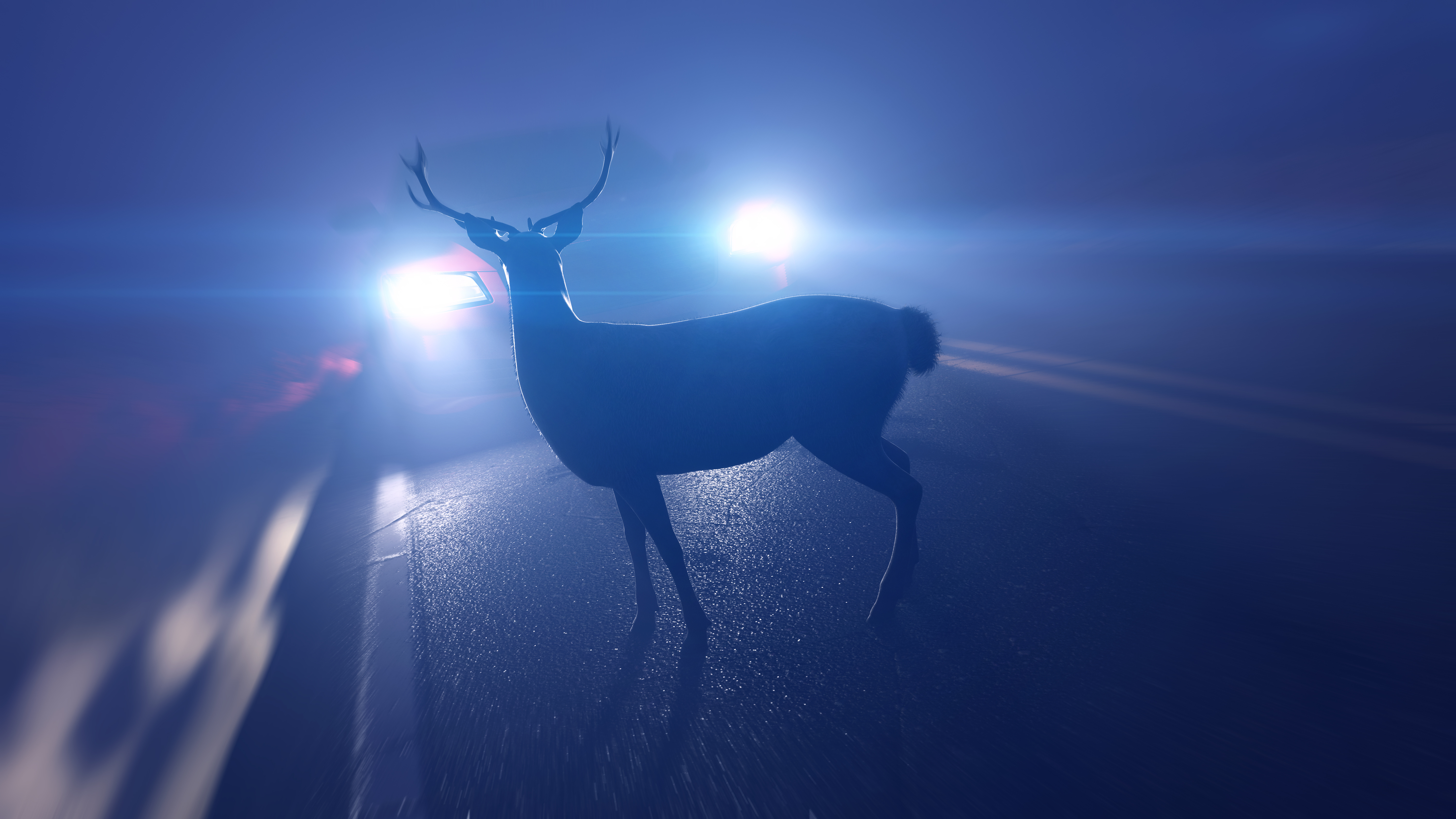 The police give drivers tips on how to behave when encountering wild animals.