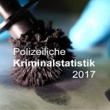 Police crime statistics 2017