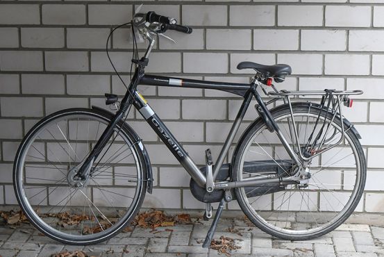 Herrenrad Gazelle
