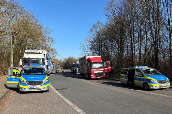 Streifenwagen stehen an einer Straße, dahinter halten zwei Lkw. Die Polizeibeamten kontrollieren die Lastwagen und ihre Fahrer. 